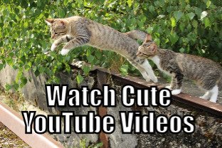 Watch Cute YouTube Videos
