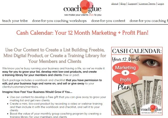 Your 12 Month Marketing & Profit Plan – You can Sell it Too!