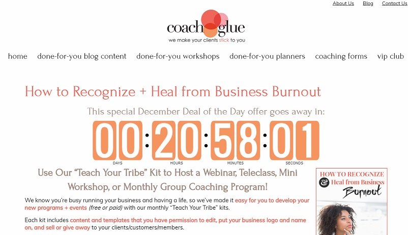 How to Recognize and Heal from Business Burnout (Special Deal Today Only!)